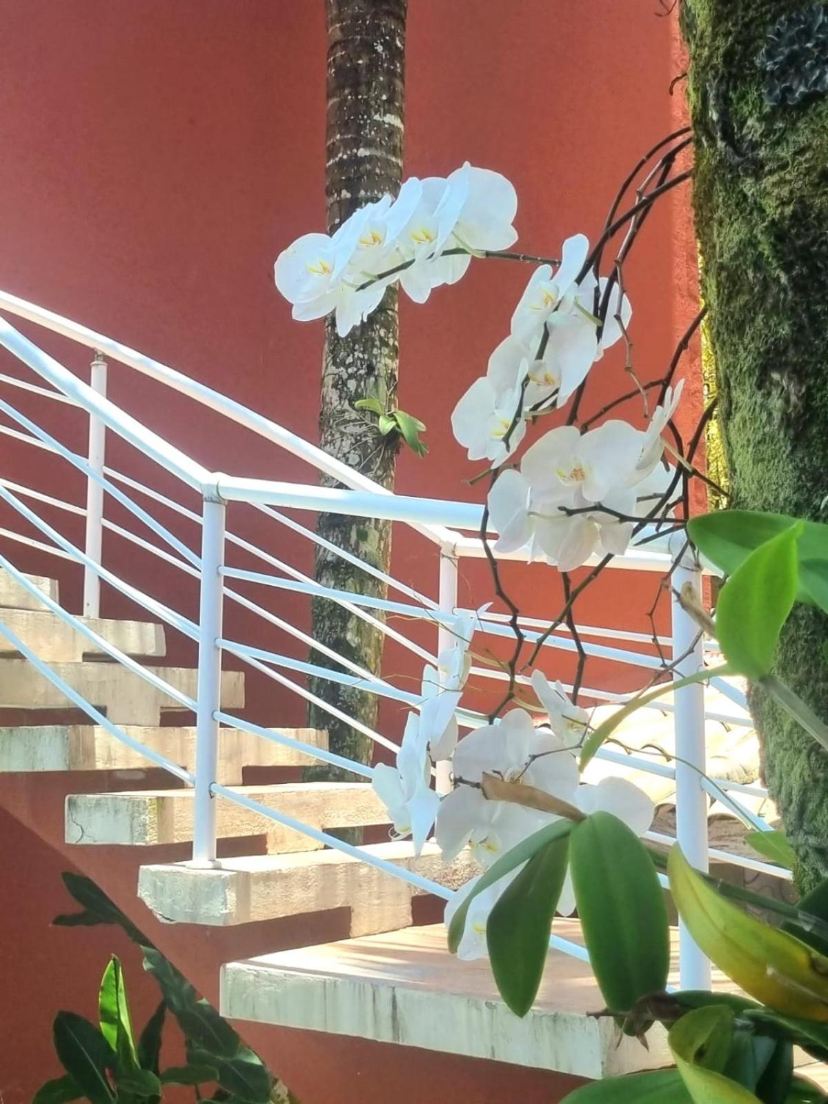Vila Jabutis Guarujá Esterno foto